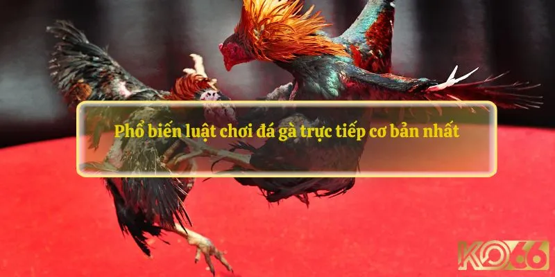 Qui tắc cơ bản